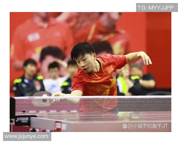 西安乒乓球队在锦标赛中的默契配合与精彩表现分析 西安乒乓球队在锦标赛中的默契配合与精彩表现分析