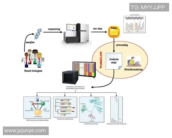 西安网球队的节奏体系与战术运用分析探讨 西安网球队的节奏体系与战术运用分析探讨